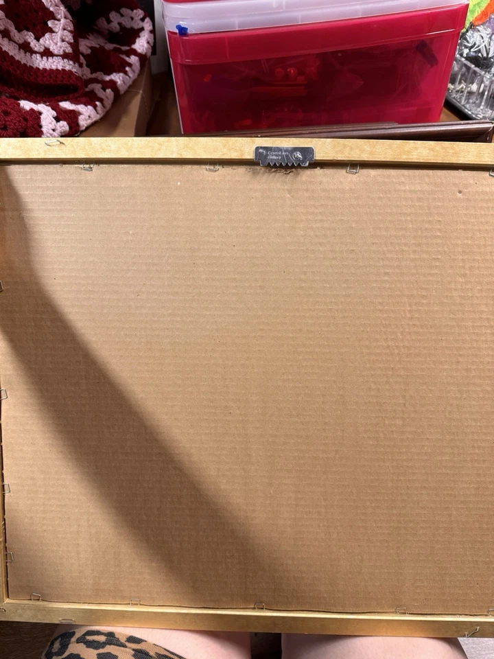 Cuadro de pared Vincent Van Gogh flor Les Irises impresión artística enmarcada (17”-22”) Foto 4 de 4