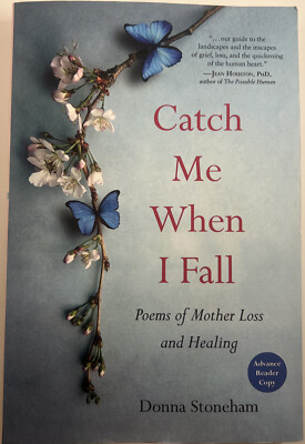 Catch Me When I Fall by Donna Stoneham (Paperback) Uncorrected Gallery Proof