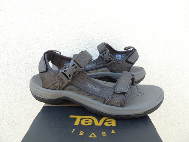 teva holliway