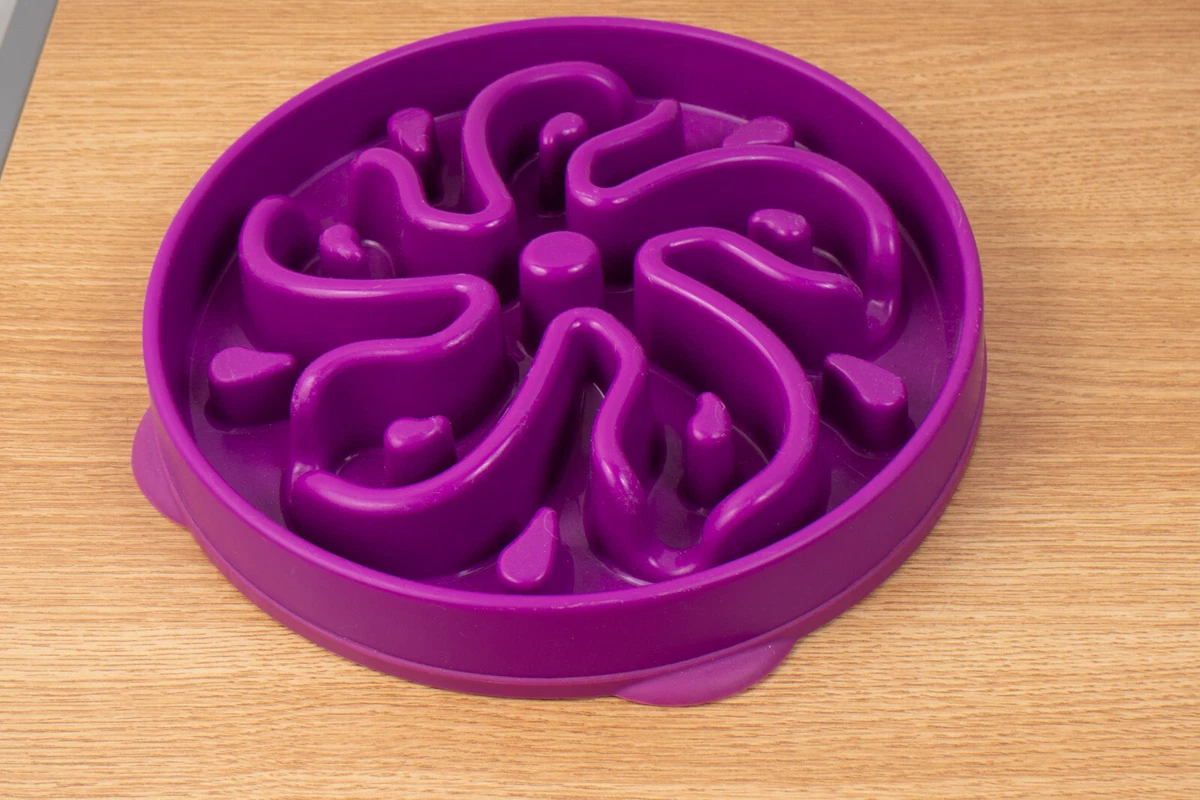 Outward Hound Fun Feeder Slo-Bowl, Large, Purple