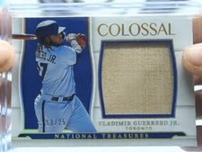 2022 National Treasures Colossal Vlad Guerrero Jr /25 Game Used Bat 🔥HR Derby🥇