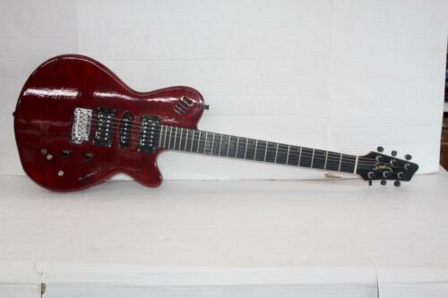 cantidad de ventas presentación Es decir Guitarra eléctrica Godin XTSA Leaftop roja trans oscura con estuche blando | eBay cantidad de ventas presentación Es decir Guitarra eléctrica Godin XTSA Leaftop roja trans oscura con estuche blando | eBay