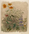 Flowers Ben Shahn 1944 Art Print – Mid-Century Botanical Wall Décor