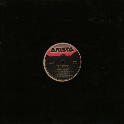 Alison Limerick - Where Love Lives Record Stor (Vinyl 12'' - 1990 - EU - Reissue)