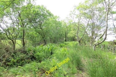 Photo 6x4 The Drove Road Newhouse/NT5223 Not exactly overgrown as such,  c2013