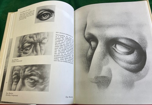 Inscribed copy BURNE HOGARTH Drawing the Human Head art HB/DJ technique - Picture 5 of 6