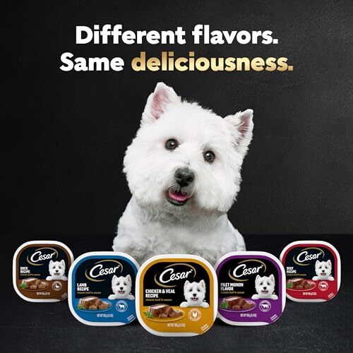 Cesar Classic Loaf in Sauce Beef Recipe 24 Count Gourmet Dog Food Trays