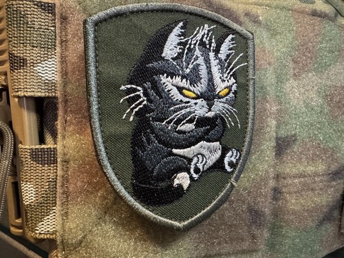 Ukrainian Military Morale Patch Evil Cat – Embroidered Tactical Badge Chevron - Picture 15 of 16