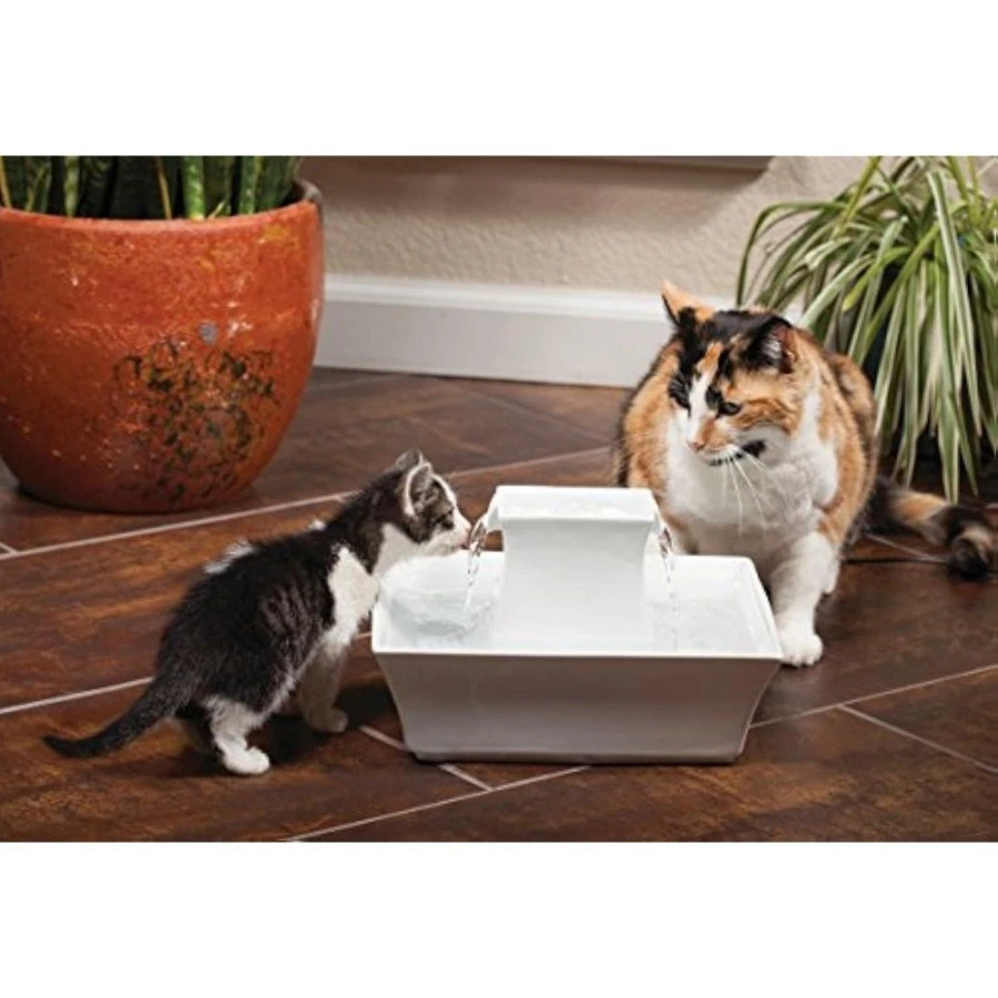 Drinkwell Pagoda Cerámica Gato y Perro Fuente de Agua, 70oz Capacidad, Enco Foto 3 de 4