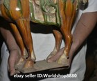Bild 10 von 20