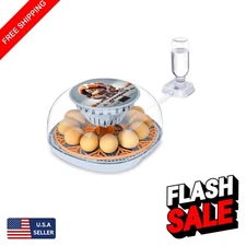 Compact Poultry Incubator with Temperature Control and 360 View for 12 Eggs