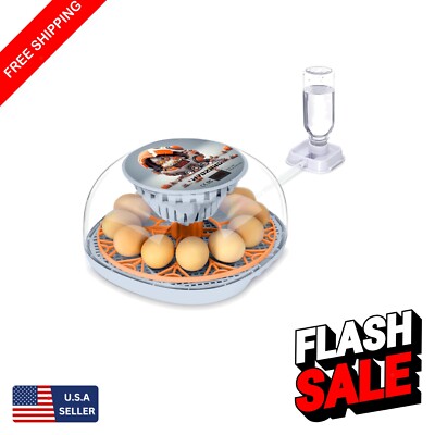 Compact Poultry Incubator with Temperature Control and 360 View for 12 Eggs