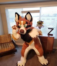 Adult Fox Fursuit Long Fur Furry Husky Wolf Mascot Costume Animal Carnival Dress