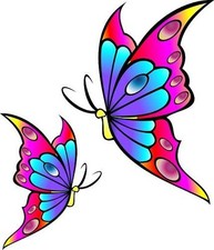 Multicoloured Butterfly Car Van Bodywork Sticker 