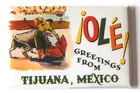 Greetings from Tijuana Mexico FRIDGE MAGNET travel souvenir bullfighting style B