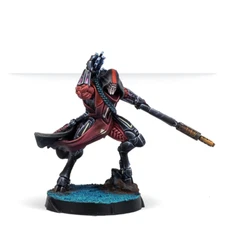 Corvus Belli Infinity Combined Army CA Shasvastii Shrouded