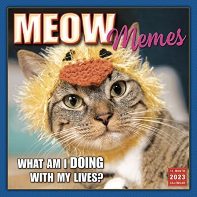 MEOW MEMES by SELLERS PUBLISHING (Paperback Book)