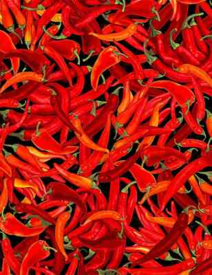Hot Peppers Fabric, BTY, Southwest Hot Peppers, C8427, TheFabricEdge