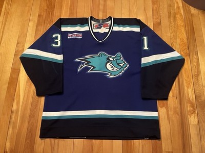 Worcester IceCats Team Issued Authentic You Wanna Go AHL SP Hockey Jersey