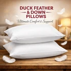 Duck Feather & Down Pillows Extra Filled Hotel Quality White Bed Pillow Pack 2,4