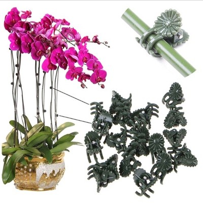 50Pcs Plant Fix Clips Orchid Stem Vine Support Flowers Tied Branch C.AP
