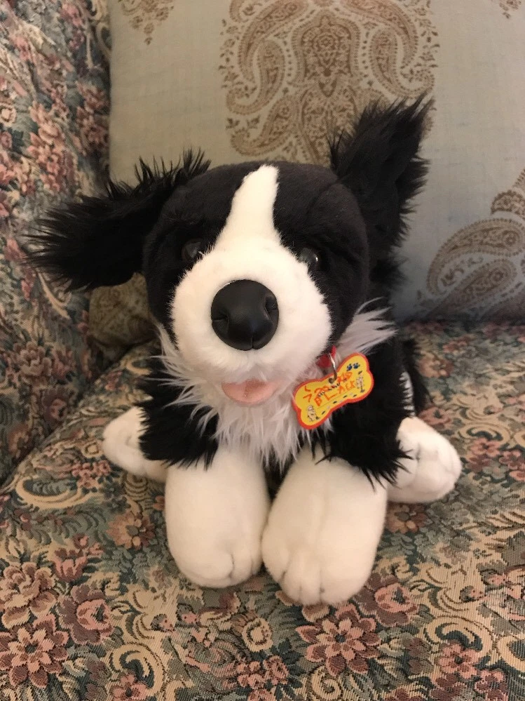 Border collie pjs new arrivals