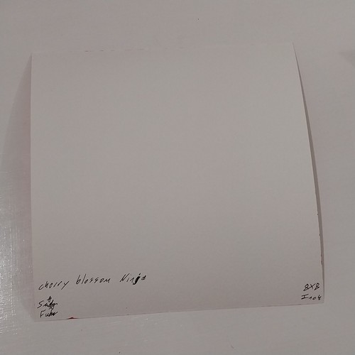 Sindy Fuhr Acrylic Painting On Watercolor Paper Title Cherry Blossom