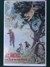  on The Hot Collector