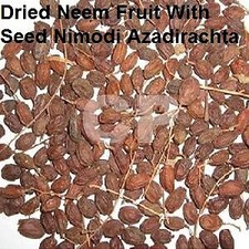 Dried Neem Fruit With Seeds Nimodi Azadirachta Indica 1kg 35.27 OZ 