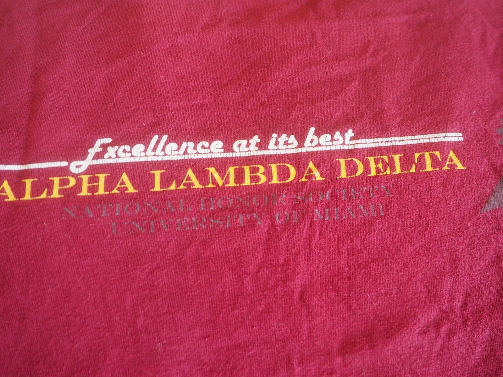 VTG Fraternity Frat Alpha Lambda Delta University… - image 8