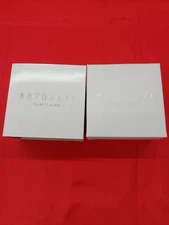 Flandre Scarlett Watch Touhou PROJECT Limited Edition Used