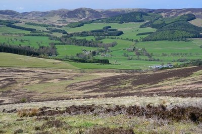 Foto 6x4 Westseite von White Know Stobo Blick vom Gipfelgrat bis c2017