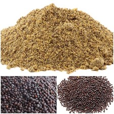 Black Mustard Seeds Ground Powder 100 Pure Natural Organic Ceylon Spice