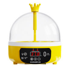 Mini Egg Incubator for Home Automatic Temperature Control Hatching Machine