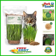 Grow Fresh 16oz Organic Cat Grass - Non-GMO Wheat Grass Seeds for Indoor Pets