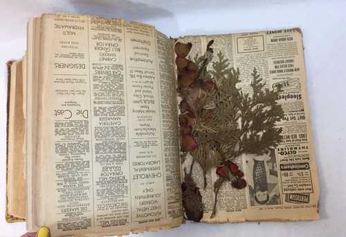 1871 Antique Family Bible Albert Ellis Family Records Death 14 Tin Plate Photos - Picture 12 of 12