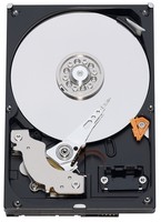 Western Digital Caviar Blue 320 Gb Bulk/oem Hard Drive 3.5 Inch, 8 Mb Cache, Rpm Western Digital Caviar Blue 320 Gb Bulk/oem Hard Drive 3.5 Inch, 8 Mb Cache, Rpm