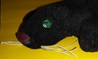 Attn: So.Illinois University Alums, BLACK PANTHER,1971 Souvenir,Beany Baby Style — photo 4
