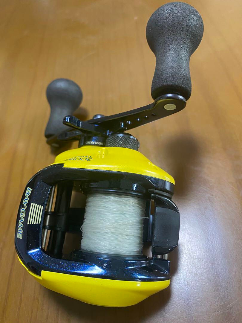 Shimano Bay Game 300HG Type G Baitcast Fishing Reel RH