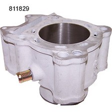 ETON Vector Cylinder Only 250cc 4 Stroke - Some CF250's Water Cooled Bor...