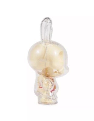 その他 kidrobot the visible dunny Amazon.com: Kidrobot Jason Freeny The Visible Dunny 8 Inch