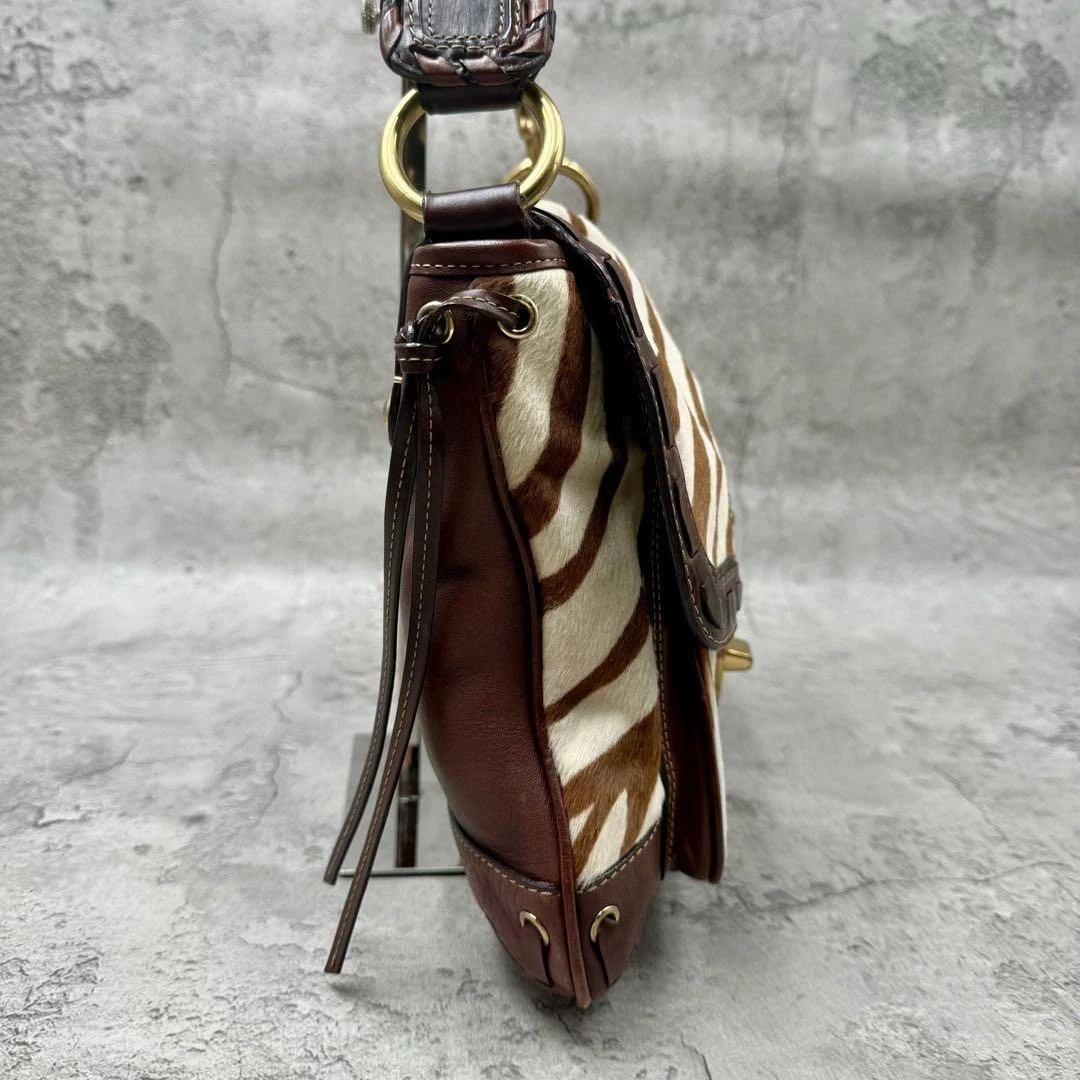 RARA BORSA A TRACOLLA COACH Y2K LEGACY RIGHE ZEBRATE CAPELLI DI VITELLO BORSA 10366