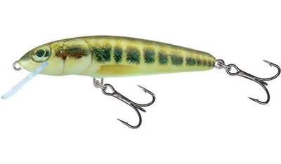 Salmo Wobbler Minnow 5cm, 3gr., floating,  HBL 0,5/1,0m