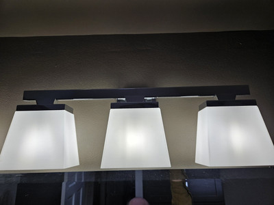 Z-Lite Astor 23 in. 3-Light Chrome Vanity Light with Etched Opal Glass Shades