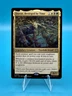 MTG WOTC 2026 Doran Besieged by Time Lorwyn Eclipsed Rare ECL 0215 NM