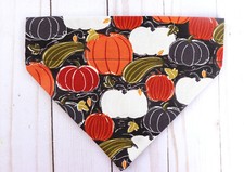 Fall Dog bandana slip over the collar Pumpkins and gourds new, Dog accessory