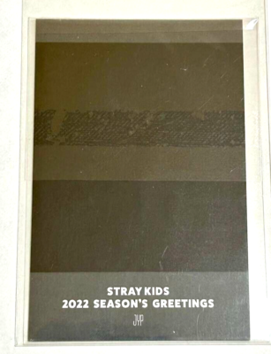 Stray Kids SKZ SEUNGMIN Season's Greetings 2022 Official Polaroid