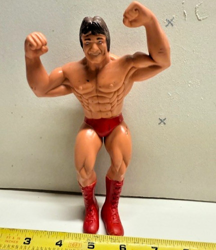 WWF LJN Wrestling Superstars PAUL Paul Mr Wonderfu...