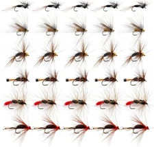 30pcs Fly Fishing Flies Kit Dry Wet Nymph Lures Assortment for Trout Bass