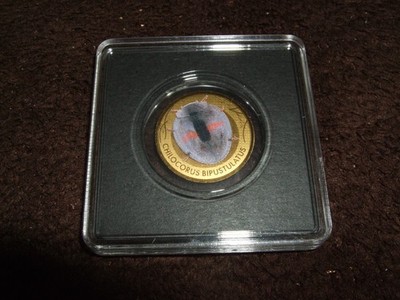 Tschad, 3000 Francs, 1/500 oz Gold, ''Strichfleckiger Marienkäfer'', farbig.